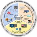 Biomimetic surface coatings for marine antifouling : Natural antifoulants, synthetic polymers and surface microtopography