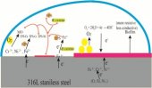 Extracellular electron transfer of Bacillus cereus biofilm and its effect on the corrosion behaviour of 316L stainless steel