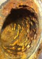 Linking Microbiologically Influenced Corrosion to Microbiological Activity Using Molecular Microbiological Methods